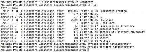 De la manipulation des visibilités de fichiers et de leur localisation via le terminal4