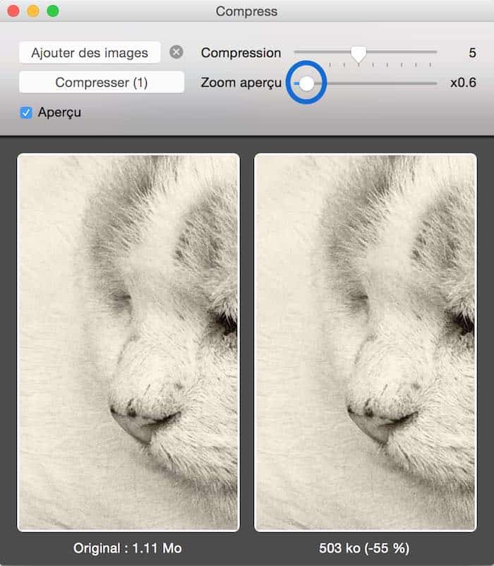 Compress, une super application pour compresser vos images par lot-3