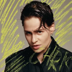 christine and the queens, glosssaire des aryistes de la musique, album chris
