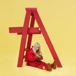 billie eilish, don't smile at me