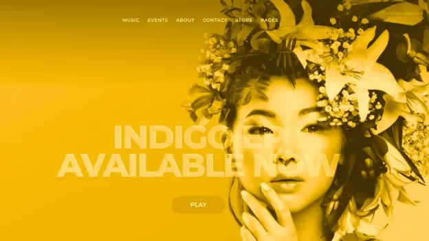 Créer un site internet professionnel pour musicien