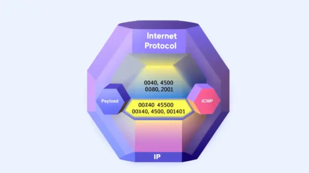 IP (Internet Protocol)