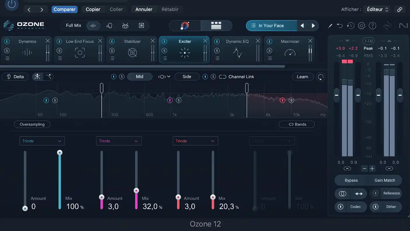Le mastering professionnel