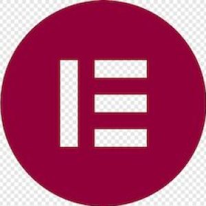 Logo du groupe Maîtriser Elementor